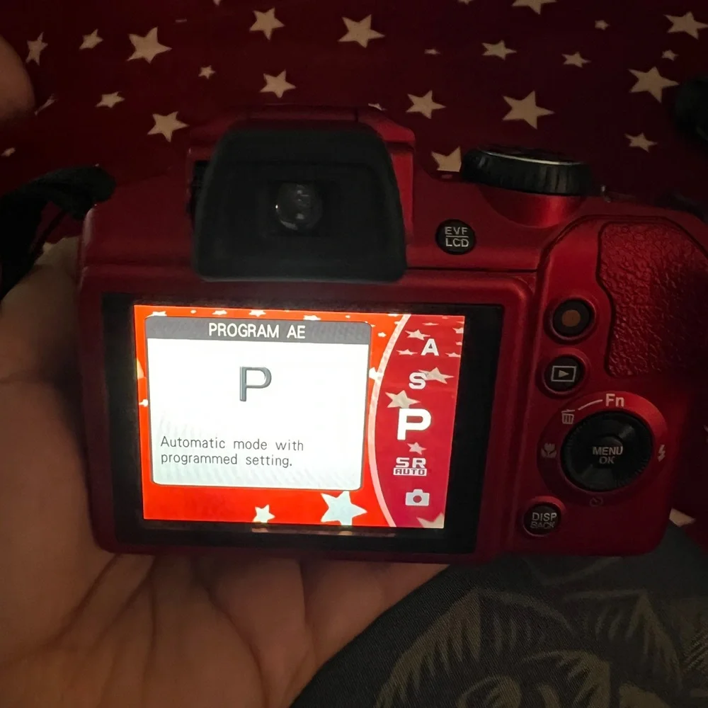 Fujifilm FinePix Camera
